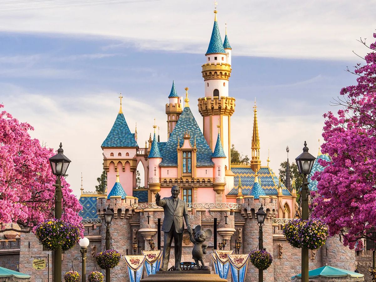 АВИОНСКА ПРОГРАМА